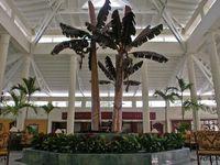 Lobby of the Hotel GRAN BAHIA PRINCIPE PORTILLO - Las Terrenas - Dominican Republic